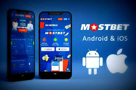 Простой обзор букмекерской конторы и игорного бизнеса Mostbet на 2026 год Простой обзор букмекерской конторы и игорного бизнеса Mostbet на 2026 год